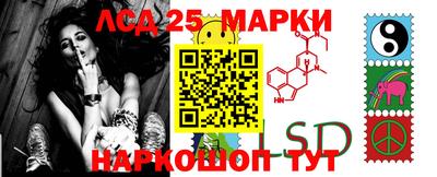 стаф Нальчик