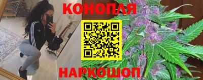 стаф Нальчик