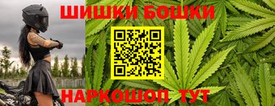 стаф Нальчик
