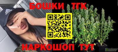 индика Нарткала