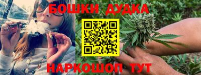 индика Нарткала