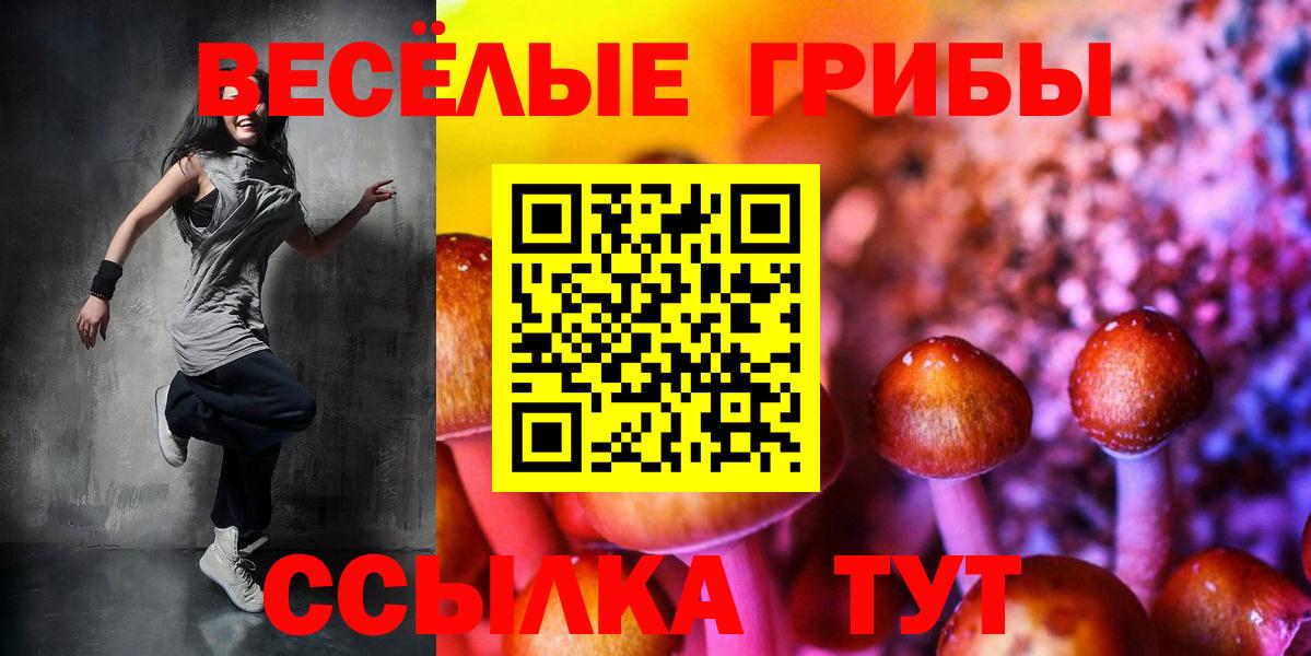 Галлюциногенные грибы прущие грибы Среднеуральск