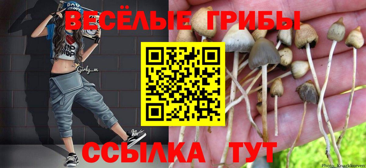 Галлюциногенные грибы MAGIC MUSHROOMS  Псилоцибиновые грибы ЛСД  Вход с VPN  Среднеуральск 